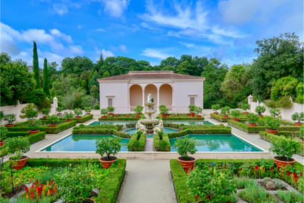 Hamilton gardens view from top of garden