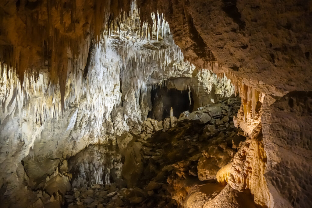 Inside of Waitomo caves just over an hour outside of Hamilton